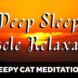 Deep Sleep Progressive Muscle Relaxation (Longer Version)