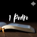 BÍBLIA EM ÁUDIO: 1Pedro