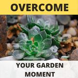 Overcoming The Garden