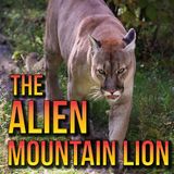 The Alien Mountain Lion