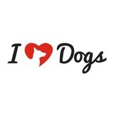 Marshall Morris talks being an #entrepreneur & the success of iheartdogs.com on #ConversationsLIVE ~ @iheartdogscom #armyvet #doglovers