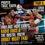 Thailand Fight Camps, Rabid Dogs & The Brutal Truth About Muay Thai