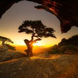 Episode 1555 - Jarvis Kingston Some trust in chariots, and some in horses: but we will remember the name of the LORD our God. -Psalms 20:7 !