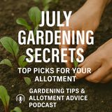 🎧 July Gardening Secrets: Top Picks for Your Allotment | Gardening Tips & Allotment Advice Podcast