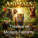 Treatise of Modern Falconry - James Campbell