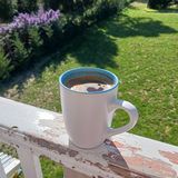 я напишу книгу