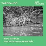 Brasileirices :: Biodiversidad brasileña