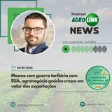 StoneX eleva projeção do algodão para 3,73 milhões/t