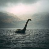 Monsters In The Lake
