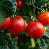 En Clave Rural: El impacto del Brexit en el comercio agroalimentario europeo, diez años después