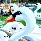 scusabea/vacanze romane 2