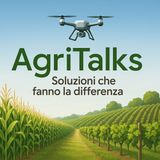 TAEGRO - L'anello mancante della difesa integrata