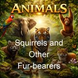Squirrels and Other Fur-bearers - John Burroughs