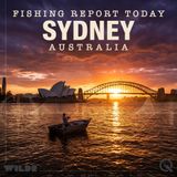 Sydney Fishing Fire: Kings, Bream and Tailor Smashing on April 19th
