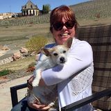 Best Friends Animal Society Summer Safety Tips