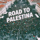 DI 5x01: Road To Palestina