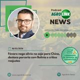 Com safra recorde, comportamento do produtor passa a ditar o mercado de soja