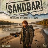 Sandbar - Picking Your Bed on Borrowed Land