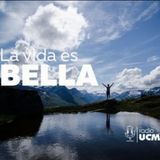 La vida es Bella - Nieves Gómez