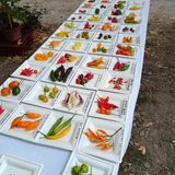 Retour sur les festival du Vigan : Julien Rochas et Alain Treil (Culture Piments)