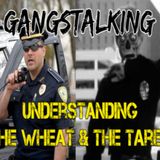 "Understanding the Wheat and the Tares" [Gangstalking: It's BIBLICAL - Mathew 13]