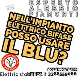 #72 Nell'impianto elettrico bifase posso usare il blu?