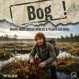 Bog - Murder Salad: How Plants Learned to Eat Back
