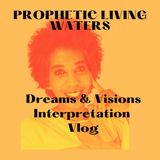 Lets Talk Dream & Visions The Importance of Dreams & Visions Part 1 audio