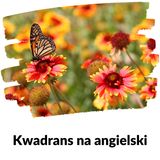 KNA: Lekcja 353 (wiosna)