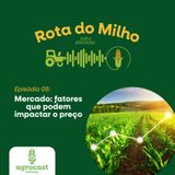 Rota do Milho - Fatores que podem impactar o preço