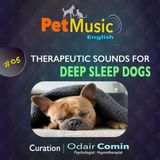 #05 Therapeutic Sounds for Deep Sleep Dogs | PetMusic