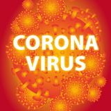 3/19/20 Dr. Kitaw Demissie of Downstate Health Sciences University School of Public Health discusses the coronavirus outbreak