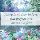 There is no fear in love But perfect love drives out fear