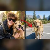 A Blind Teen Disappeared in Yosemite — What a Dog Found 2 Years Later