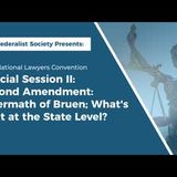 Special Session II: Second Amendment: Aftermath of Bruen; What's Next at the State Level?