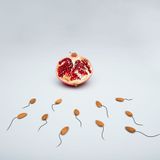Seasonal Patterns in Male Fertility and Sperm Motility