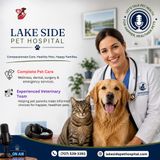 Trusted Veterinary Care at Lakeside Pet Hospital