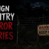 3 Scary TRUE Foreign Country Horror Stories