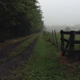 The Whistling Gate by Silke Phillips: Irish Folk Horror & Supernatural Folklore