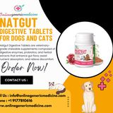 Natgut, digestive enzymes for dogs​
