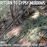 Sasquatch is Watching at Gypsy Meadows! | Washington