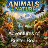 Adventures of Buster Bear - Thornton W Burgess