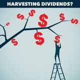 Income from Dividend Stocks?