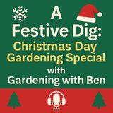 🎧 🎄 A Festive Dig | Christmas Day Gardening Special with Gardening with Ben