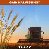 Does it make sense to harvest your gains?