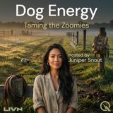 Dog Energy - Put That Brain to Work: Mental Stimulation Games That Actually Tire Your Dog Out