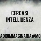 #mor Cercasi intelligenza!
