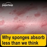 Why sponges absorb less than we think