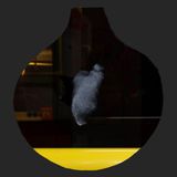 Ep.28 Surface Séance by Michael Heindl