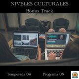 Niveles culturales